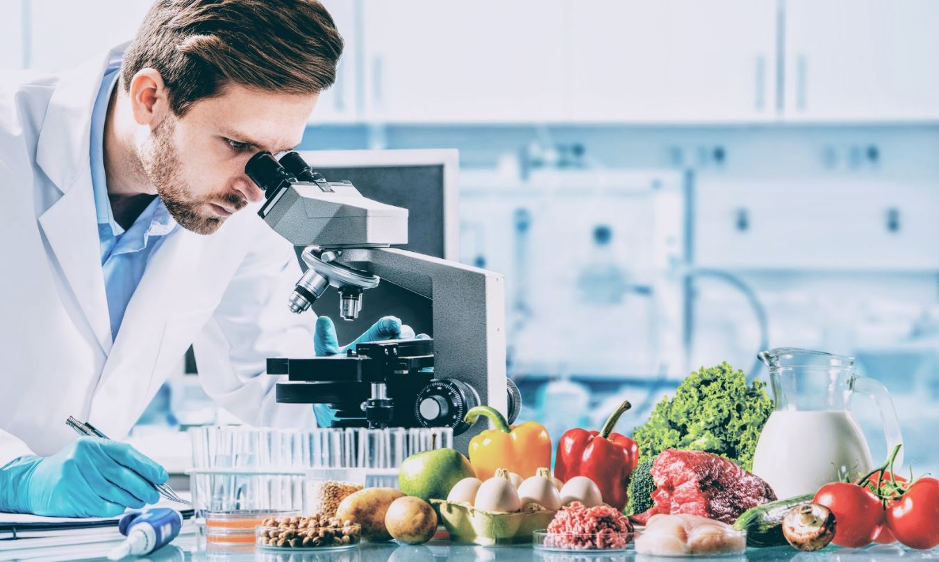 How Molecular Design Shapes What We Taste, Feel, and Remember