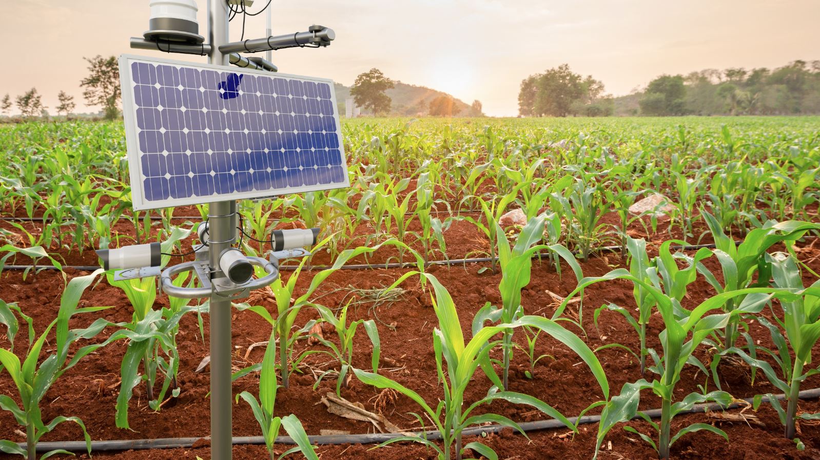 Practical pathways that raise yields, cut risk, and store carbon while feeding communities with dignity