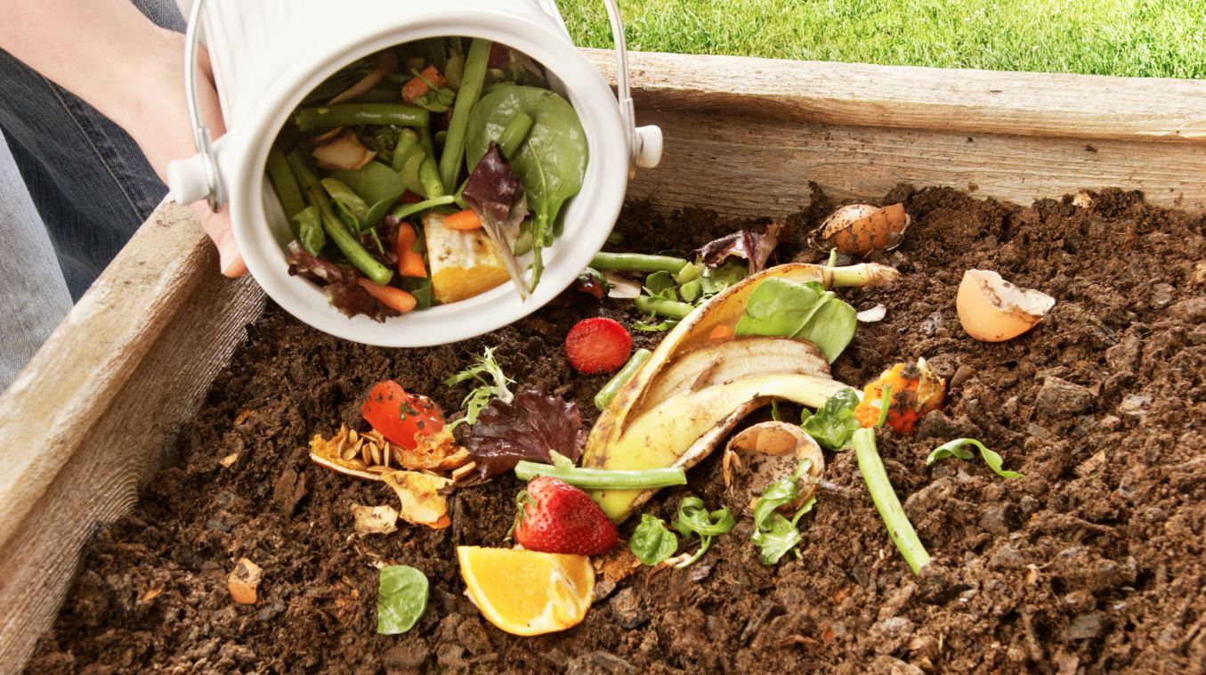 Biodegradable Materials Are Quietly Rewriting the Future of Consumption