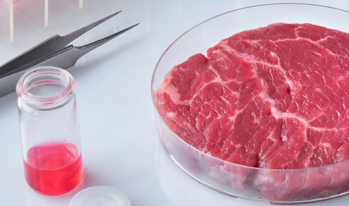 The cell cultivation is transforming the meaning of meat and the ethics of abundance